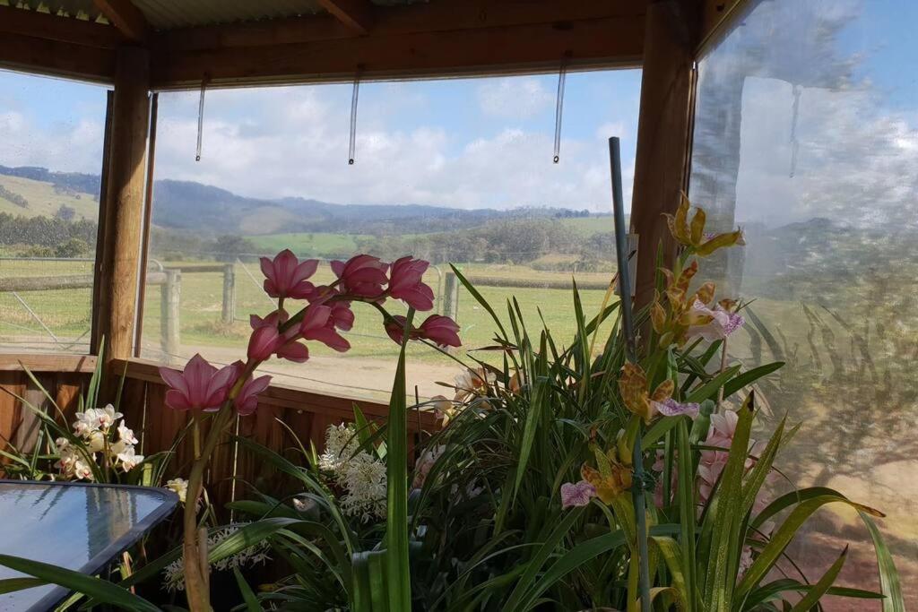 Handsome Hills Dairy Retreat Won Wron Exteriér fotografie